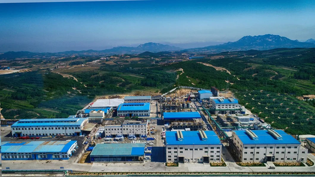 D486: Karbon içeren sülfür cevherlerinin kazanımı için depresan 6